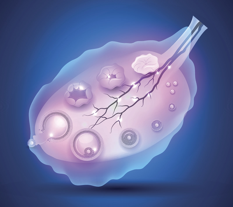 呼和浩特三代试管助孕医院排行榜收录3家口碑机构！附内蒙医科大附院等前十名医院、费用对比及选择指南